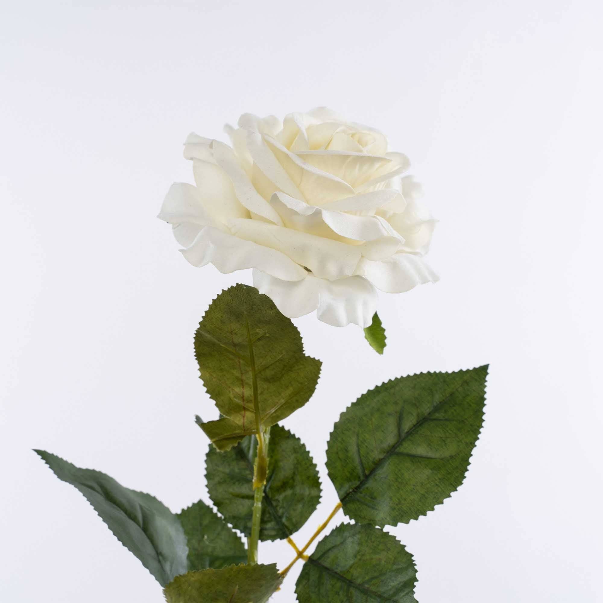 27 Inches Tall Faux Full Bloom Rose - White for wholesale on Faire6