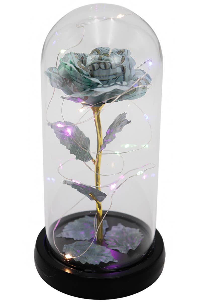  DOLLAR Money Rose Glass Dome Led Light Stand for wholesale on Faire4