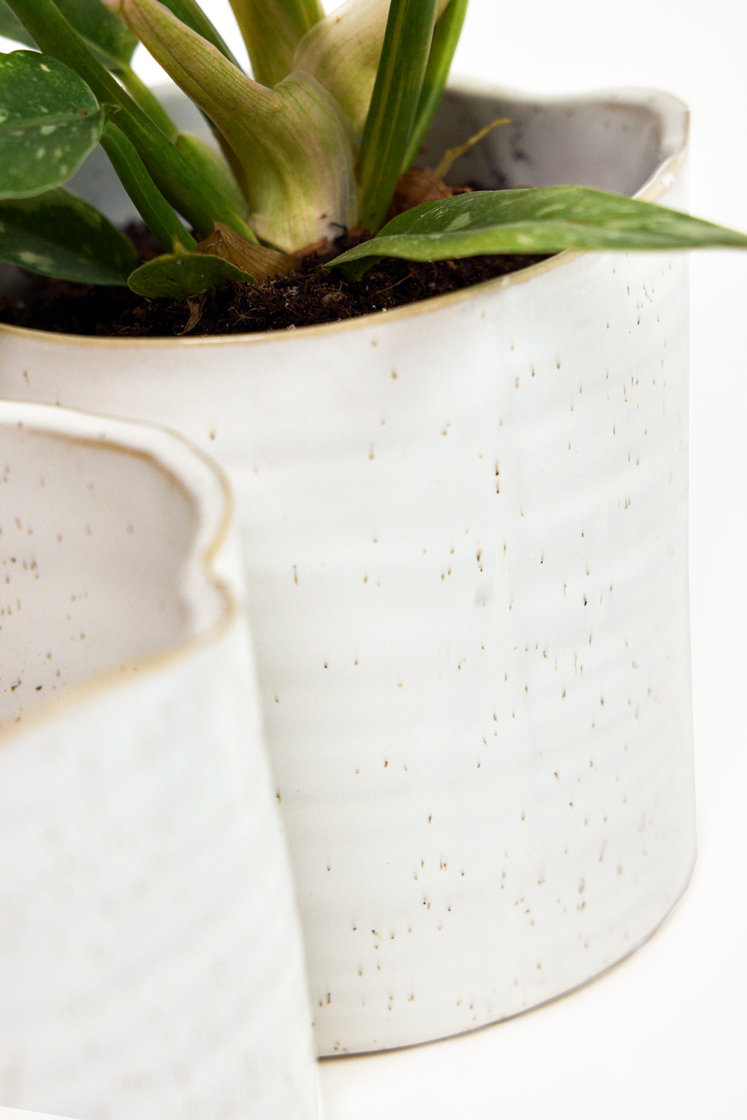 Chive Canada - Wholesale Plant Pot - Channa Japanese Minimalist Flower Pot For Indoor Plants3