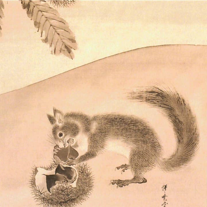 CATCH 12X12 DUBBELE KAARTEN SNC 193952 voor wholesale door Phenicia