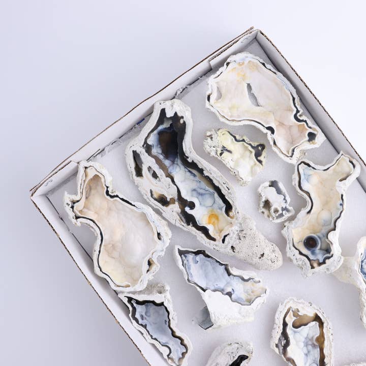 Agatized Coral Flat for wholesale by Mi Esperanza Minerals