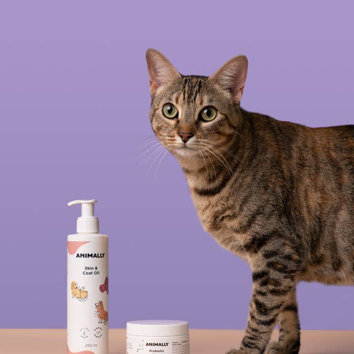 ANIMALLY - Taking care of your pet's health - – Großhandel Nahrungsergänzungsmittel für Haustiere – Katze/Hund – Haut- und Fellöl 250 ml3