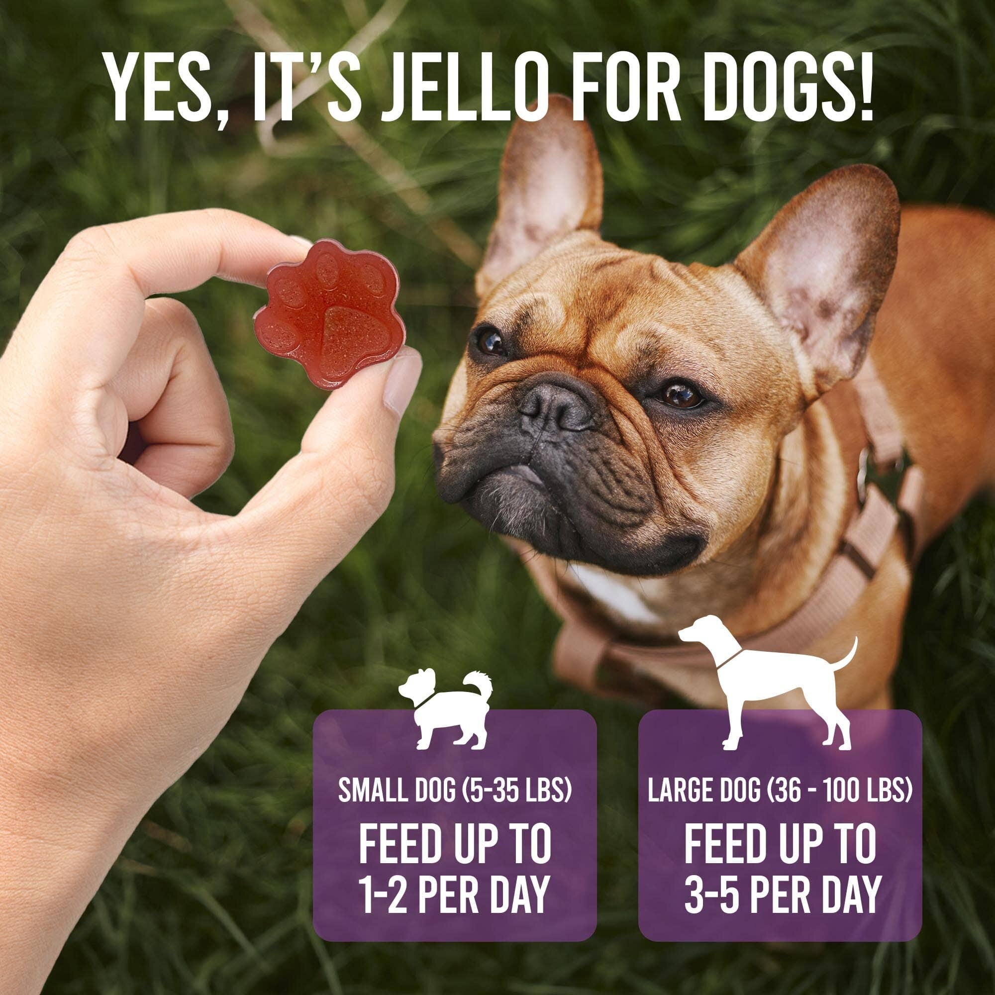 SodaPup Dog Toys - Wholesale Chocolate/Candy Mold - Dogtastic Jelly Shots Silicone Mold - Bone Shape3