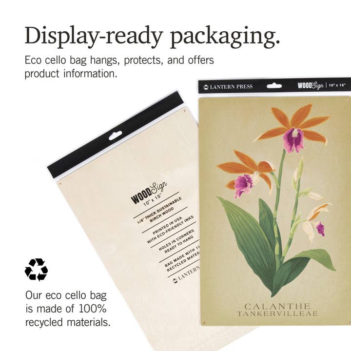 Lantern Press - Wholesale Wood wall art - WOOD SIGN ART Calanthe Tankervilleae Orchid Flora6