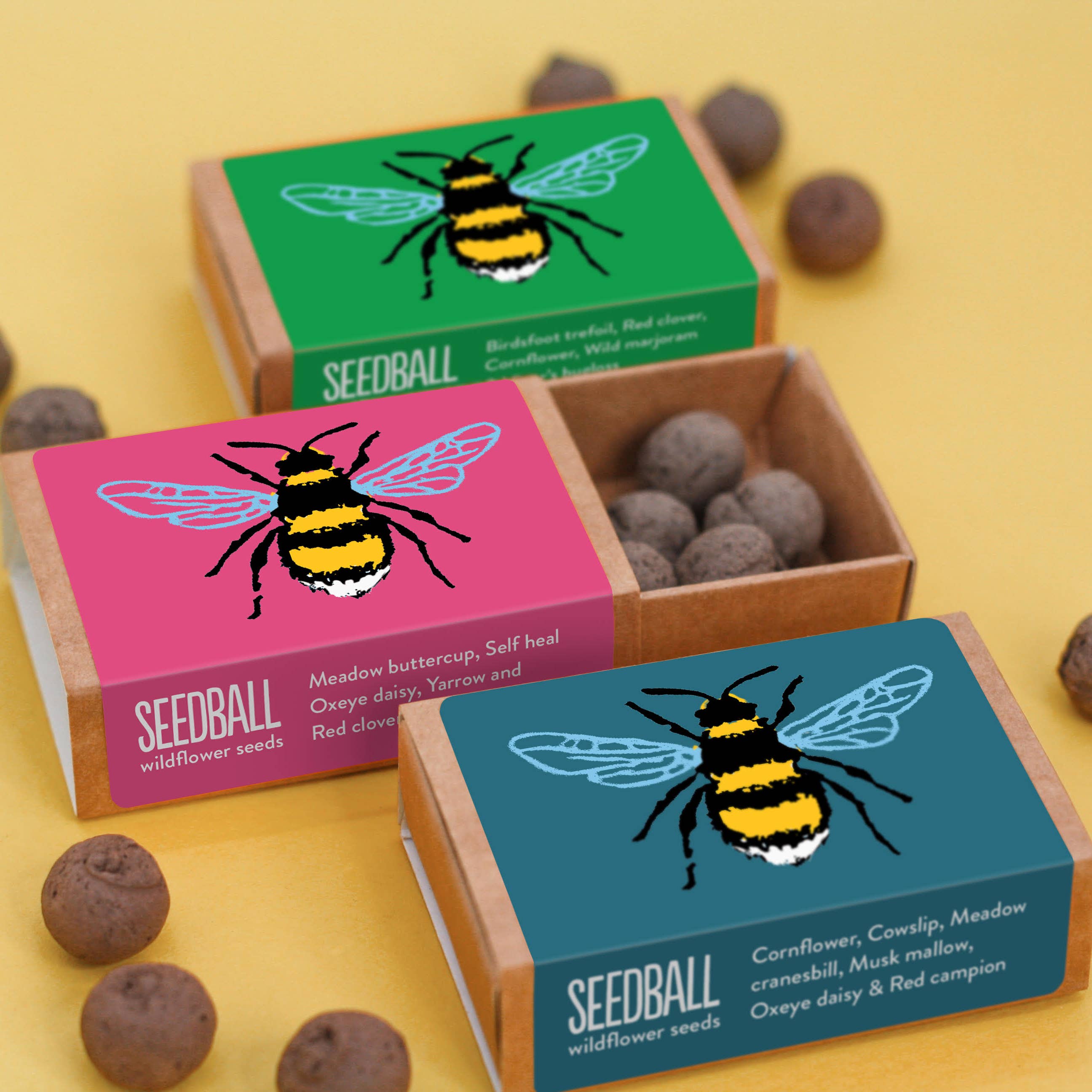 Seedball - Vente Graines de plantes - Boîtes à fleurs sauvages Bee Seedball2