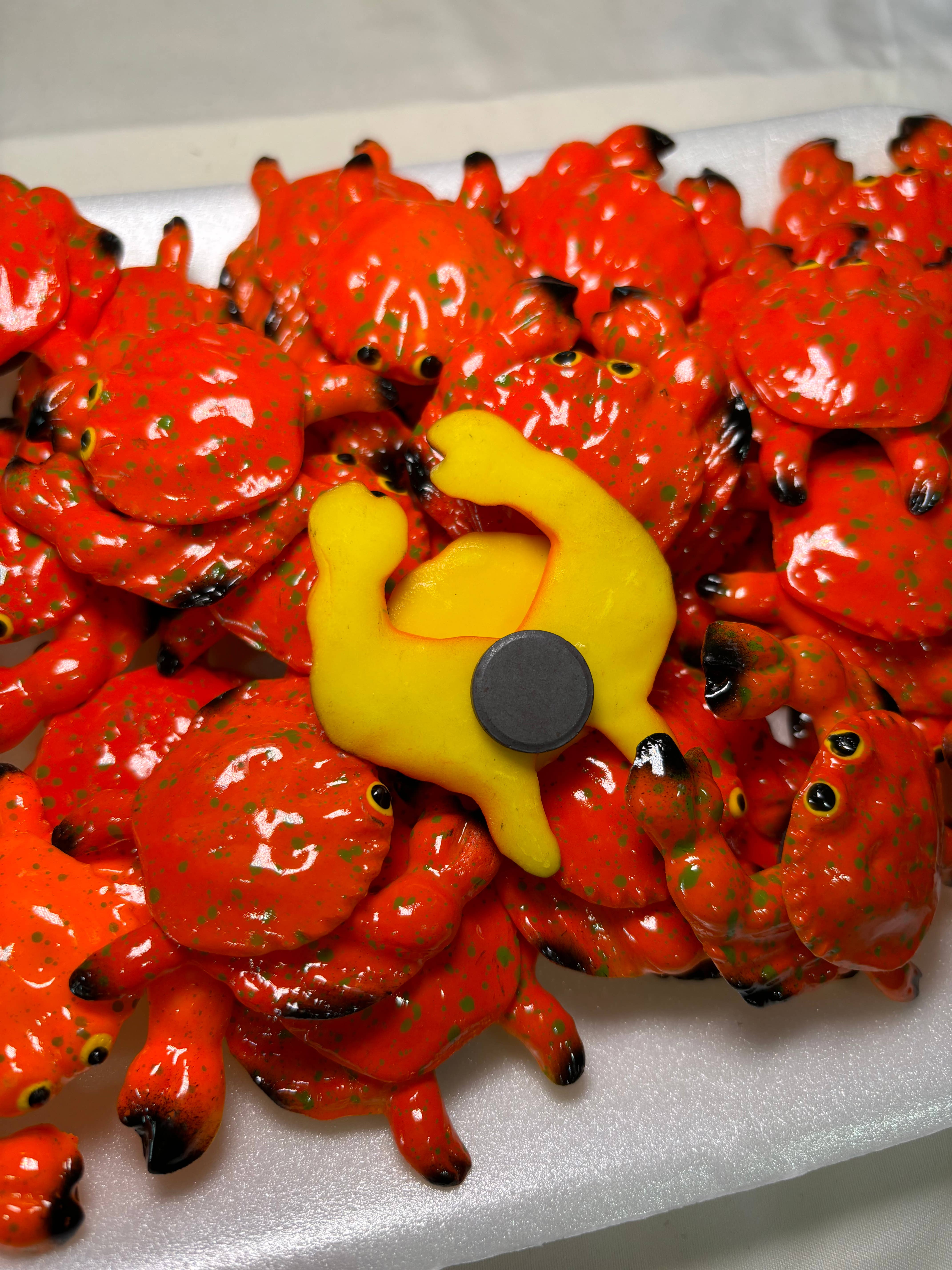 Magnets Market - Venta al por mayor Imanes - Imán de cocina con forma de cangrejo2