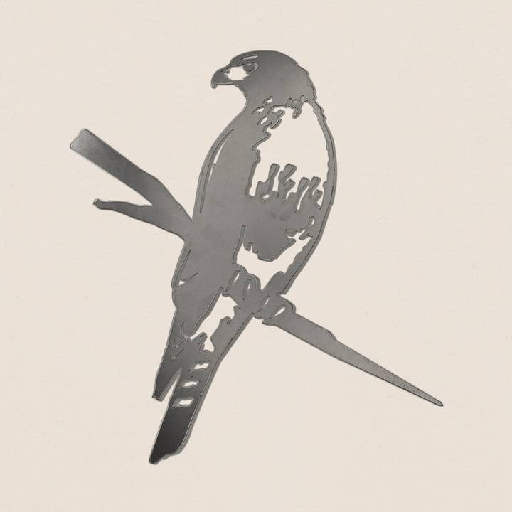 Metalbird - Vente Bibelots/décorations d'extérieur - Art du jardin de la buse à queue rousse | Décoration d'intérieur | Cadeaux0