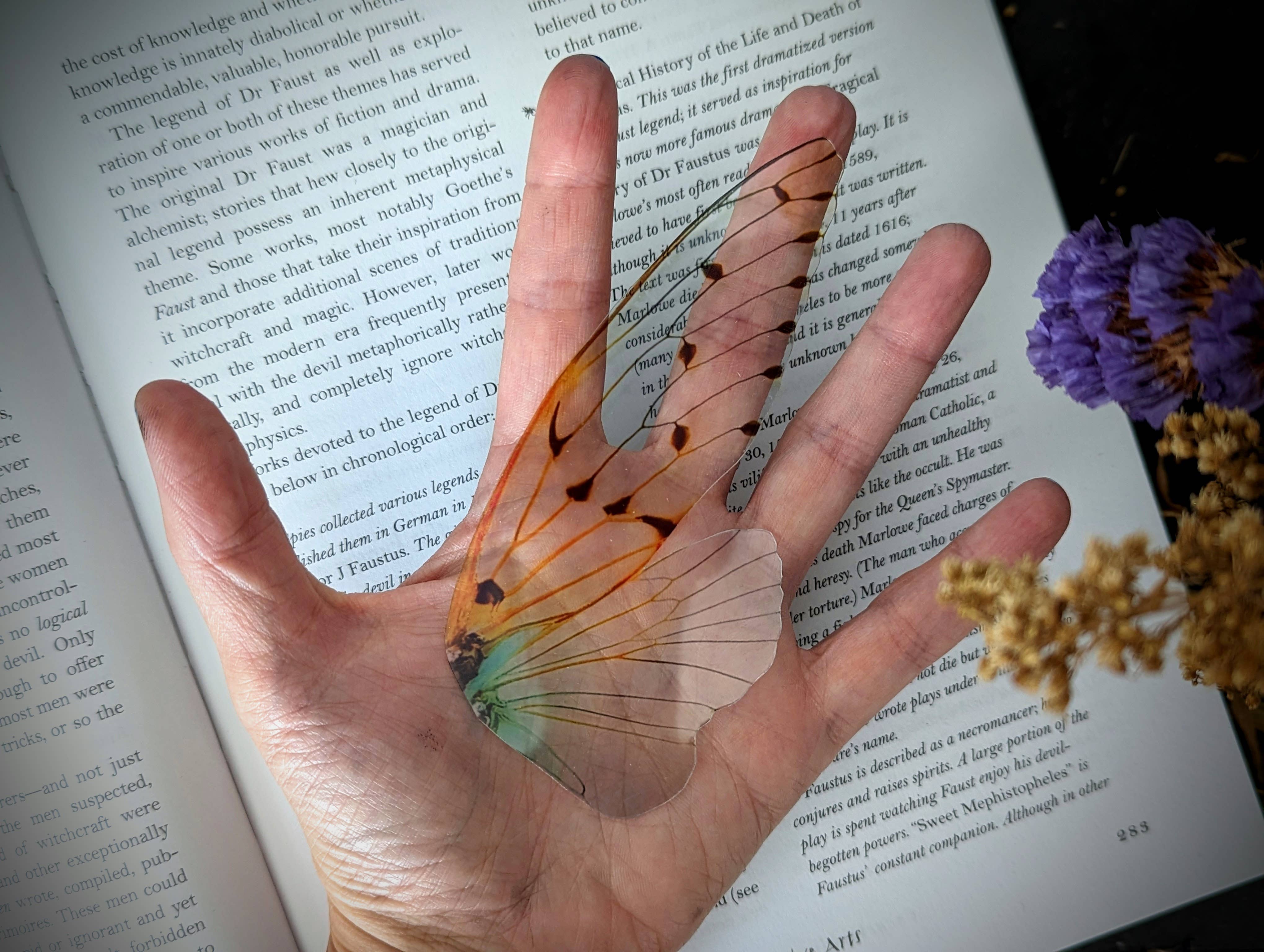 Dark Veinlet - Wholesale Bookmark - Clear Bookmark - Ghost Cicada Wing Cottagecore Dark Academia2