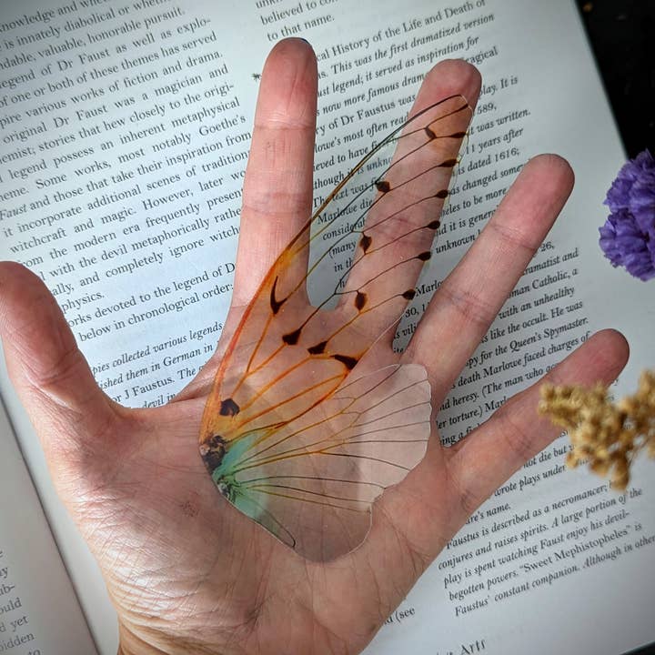 Dark Veinlet - Wholesale Bookmark - Clear Bookmark - Ghost Cicada Wing Cottagecore Dark Academia2