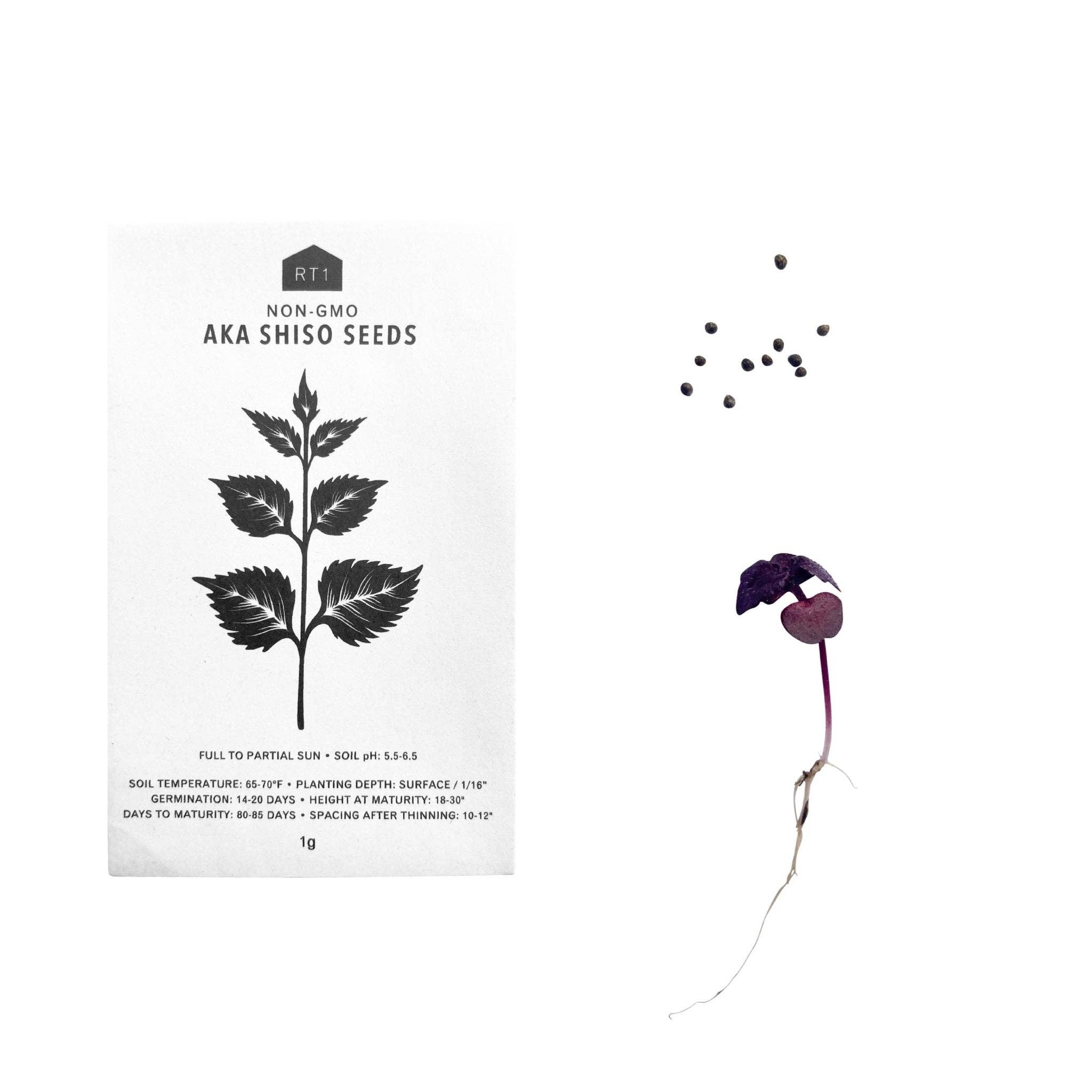 RT1home – wholesale Frön – ÖRTFRÖN - 1 PACK24