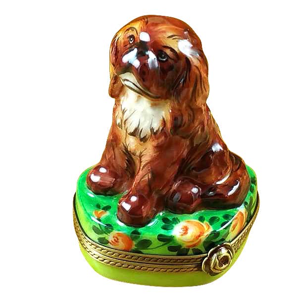 Ruby King Charles Spaniel for wholesale by Rochard