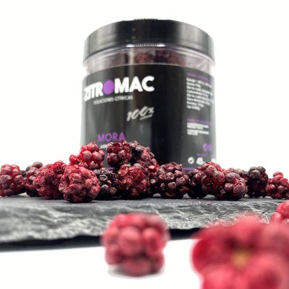 ZITROMAC Soluciones Cítricas S.L. – Großhandel Getrocknete/dehydrierte Früchte – BLACKBERRY - GEFRIERGETROCKNET - kleines Glas1