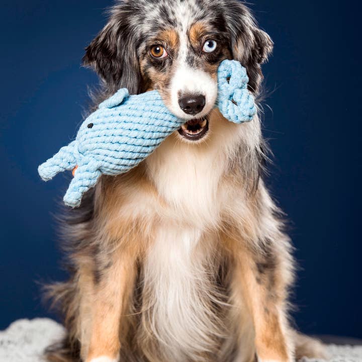 LABONI - Volentis GmbH - Wholesale Pet Rope Toy - Dog - Blanket TEDDY GREY - Multifunctional Blanket12