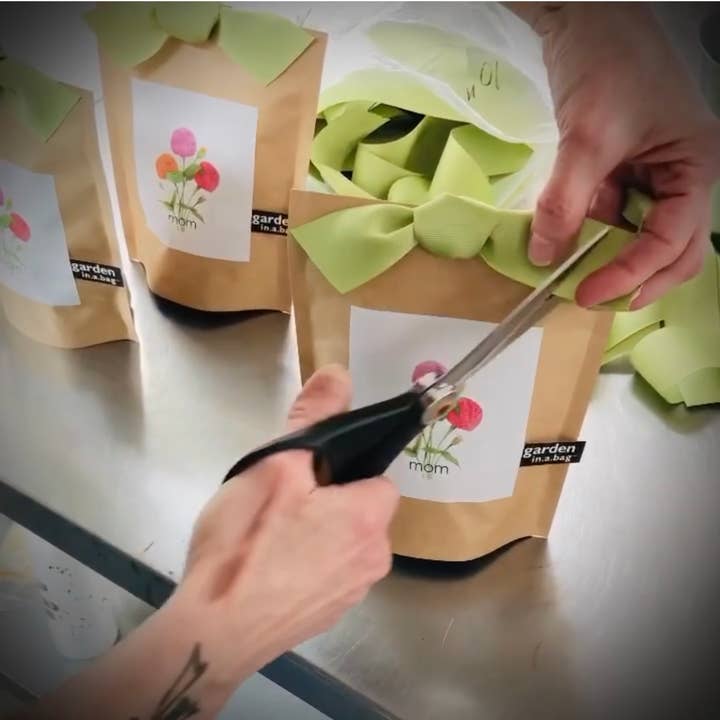 Potting Shed Creations, Ltd. - Wholesale Plant Seeds - Garden in a Bag | Mom | Mother's Day | Best Seller3