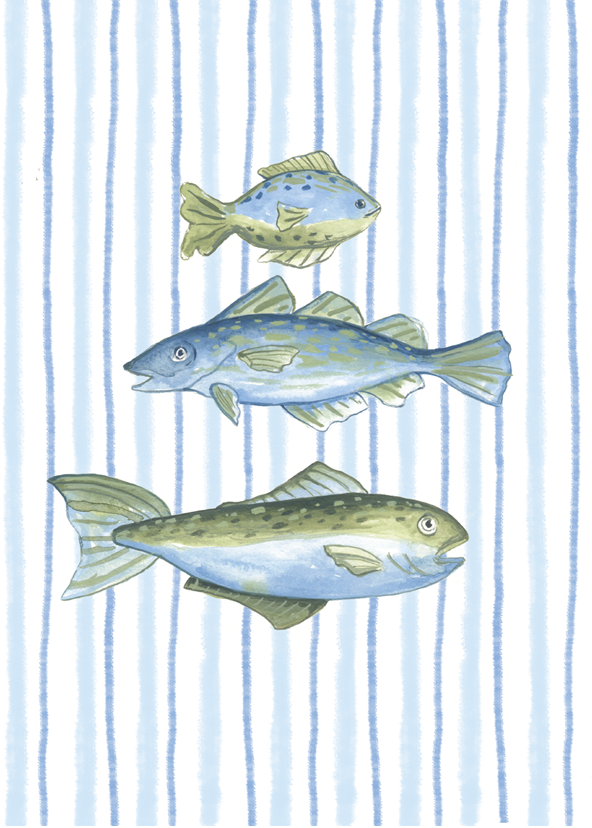 Jessica Frasz Studio - Wholesale Everyday Greeting Card - Three Fish greeting card 1