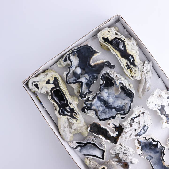 Agatized Coral Flat for wholesale by Mi Esperanza Minerals