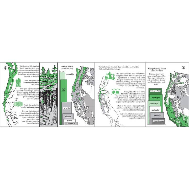 Microcosm Publishing & Distribution - Wholesale Book - Adult - Pacific Coast Tree Finder: Manual to Identify Trees (Zine)