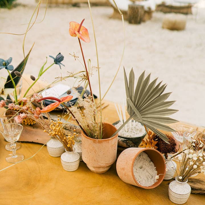 Afloral - Wholesale Dried/Pressed Flowers - Bundle of 5 Afloral Natural Sun Palms - 14-20"