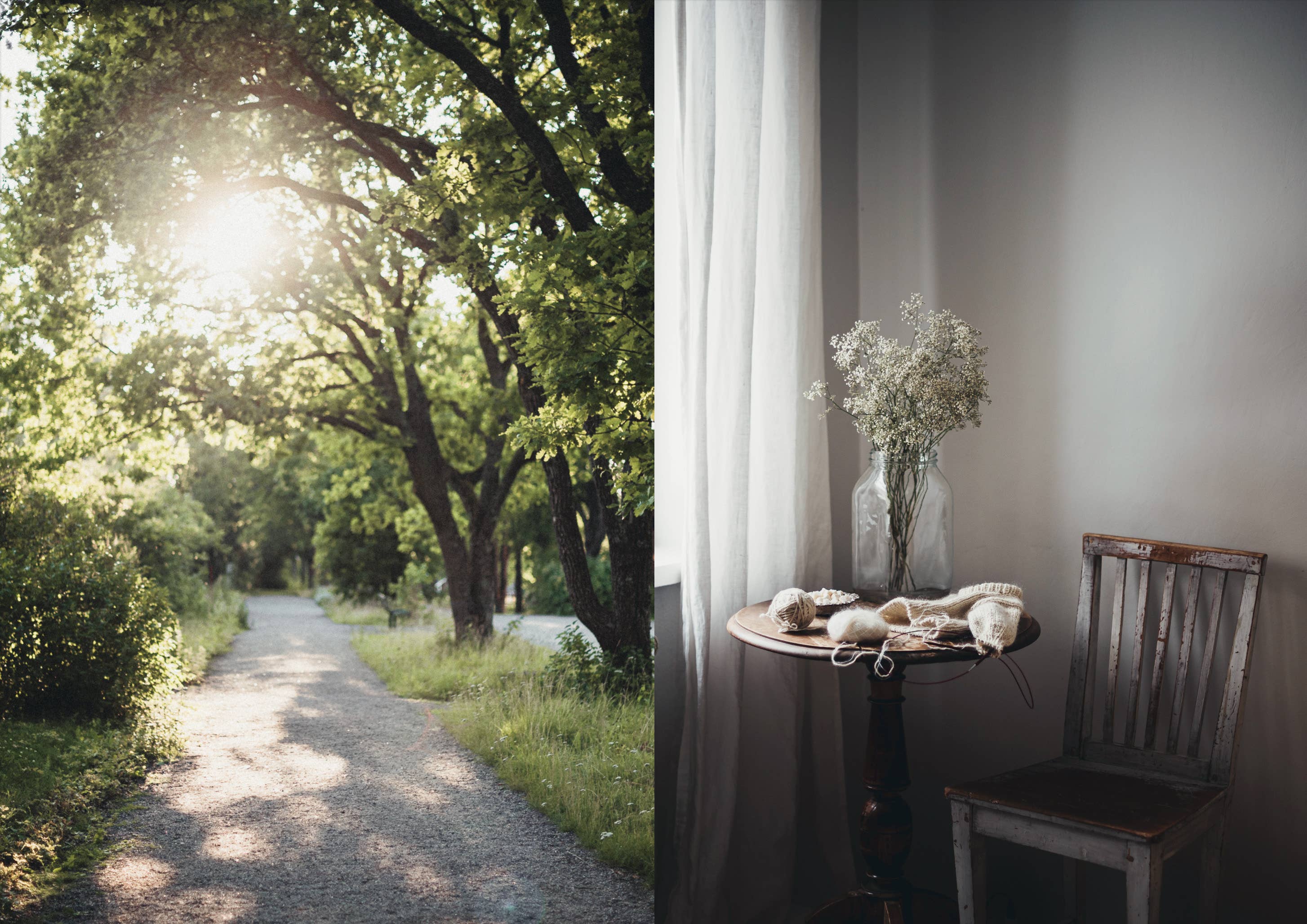 Cozy Publishing – Großhandel Haus & Garten – Natur im Inneren, Wohlbefinden durch biophiles Design transformieren2