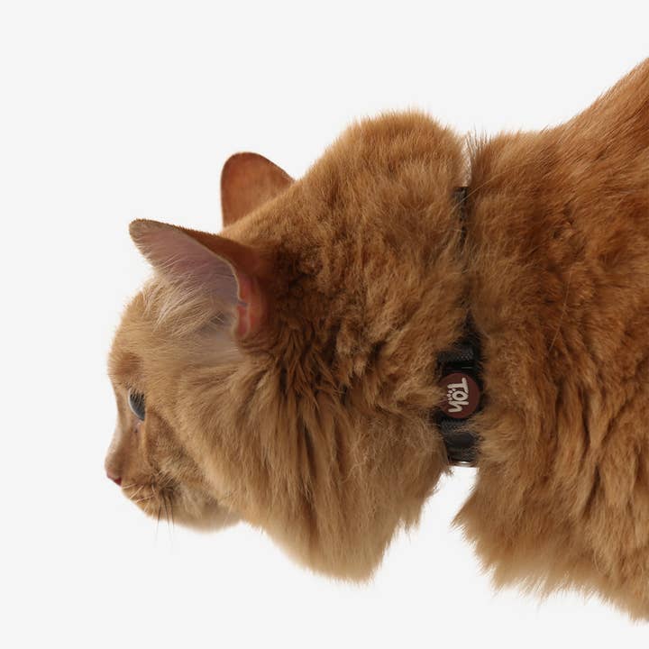 Toh - Wholesale Pet Collar - Cat - Coleira de Gato Eclipse1