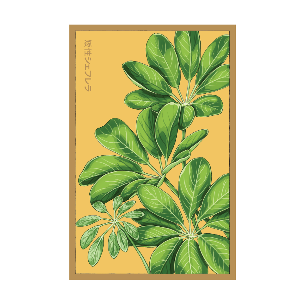 Chive - Wholesale Plant Seeds - 2026 Dwarf Schefflera Indoor Seeds Packet0