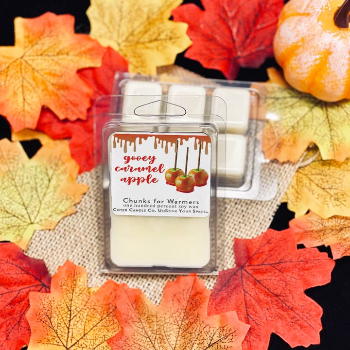 Coyer Candle Co. - Wholesale Wax Melt - Fall Collection - Soy Wax Melts17