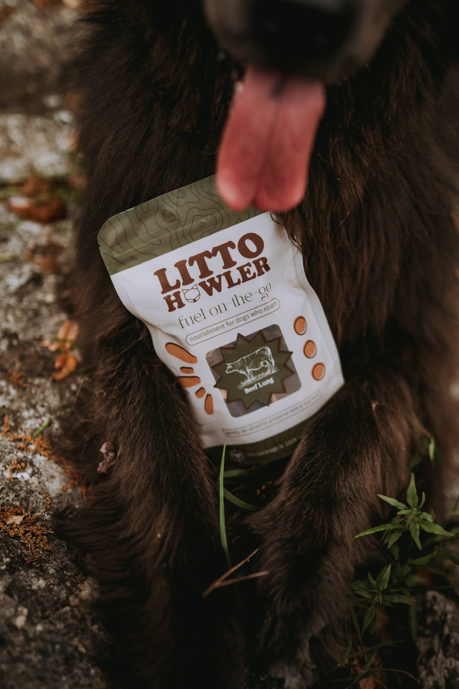 Litto Howler - Wholesale Pet Treats - Dog - Beef Lung | 4 oz  1