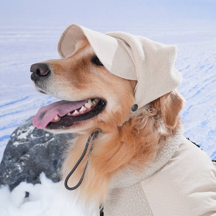 Puppy Gallery - Wholesale Pet Hat - Dog - Ear Cover Fleece Hat16