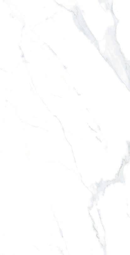 Thomas Avenue Ceramics - Wholesale Wall Tile - 12"x24" Porcelain Calacatta Cool Floor and Wall Tile7