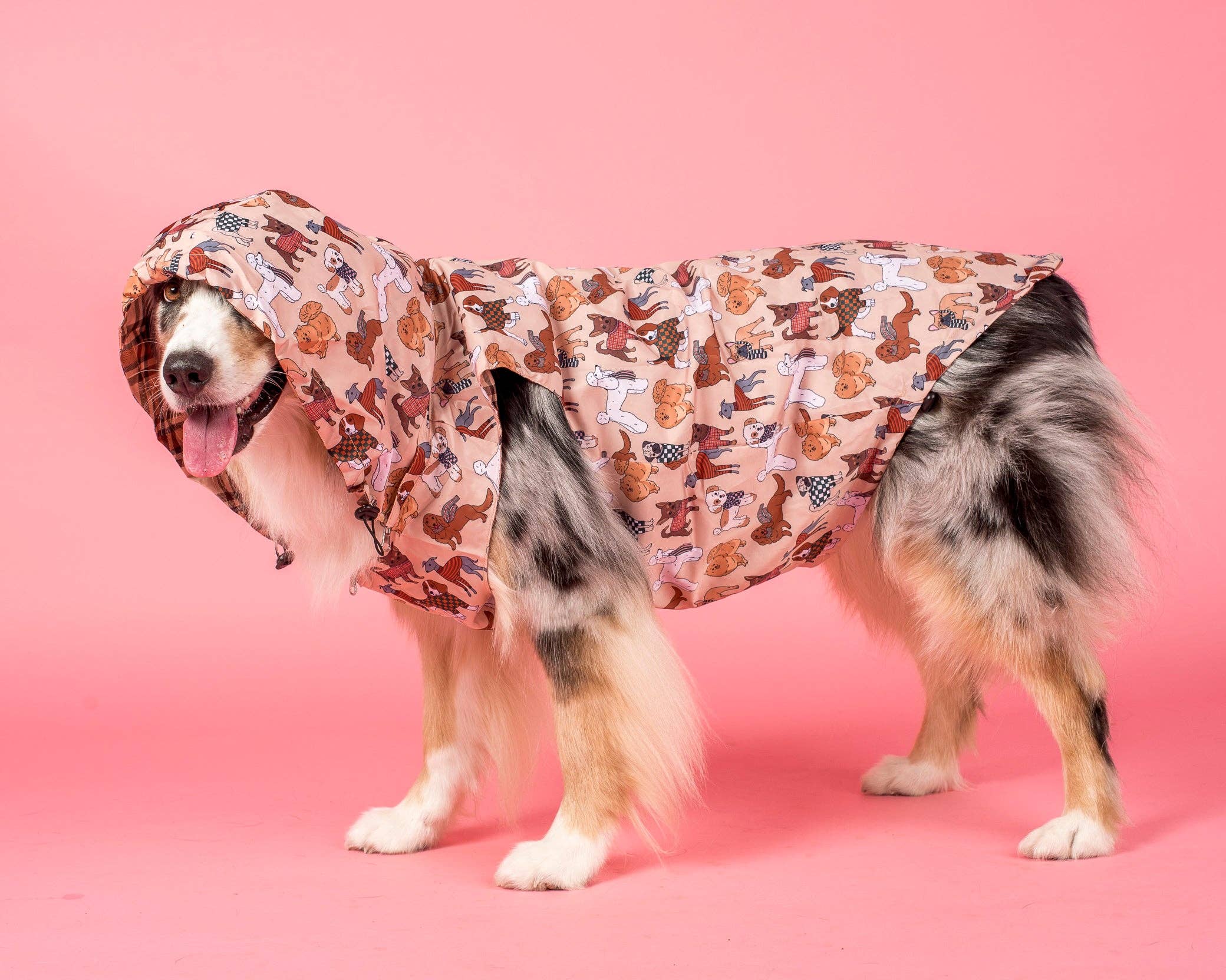 Pablo & Co. Boutique - Wholesale Pet raincoat – Dog - Winter Pooches / Kensington: Raincoat7