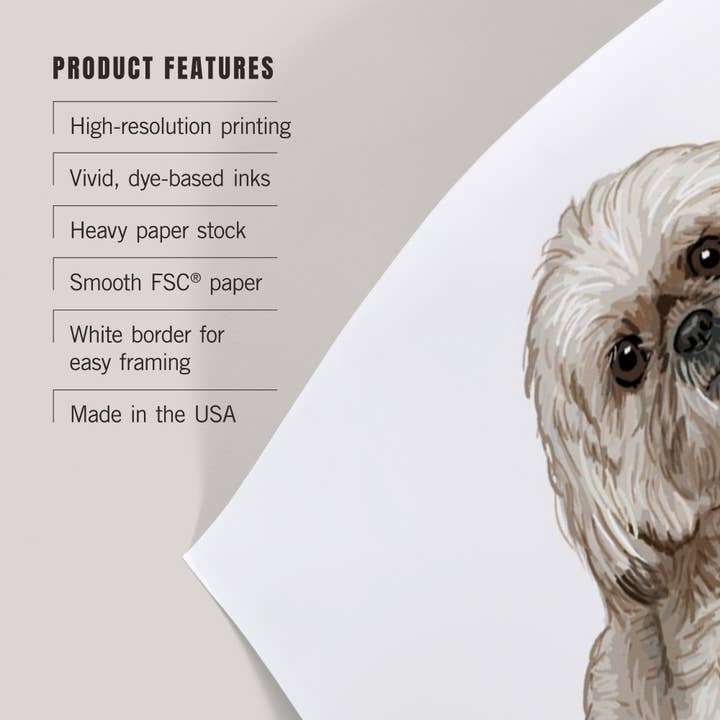 Lantern Press - Wholesale Art Print - ART PRINTS Shih Tzu, Life is Better2