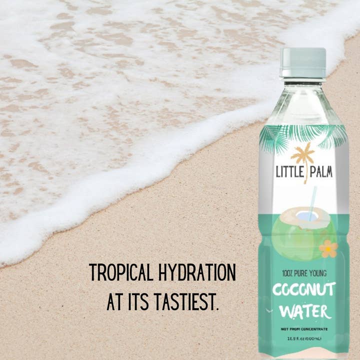 Little Palm - Wholesale Flavored/Infused Water (Non-Carbonated) - Little Palm - Young Coconut Water