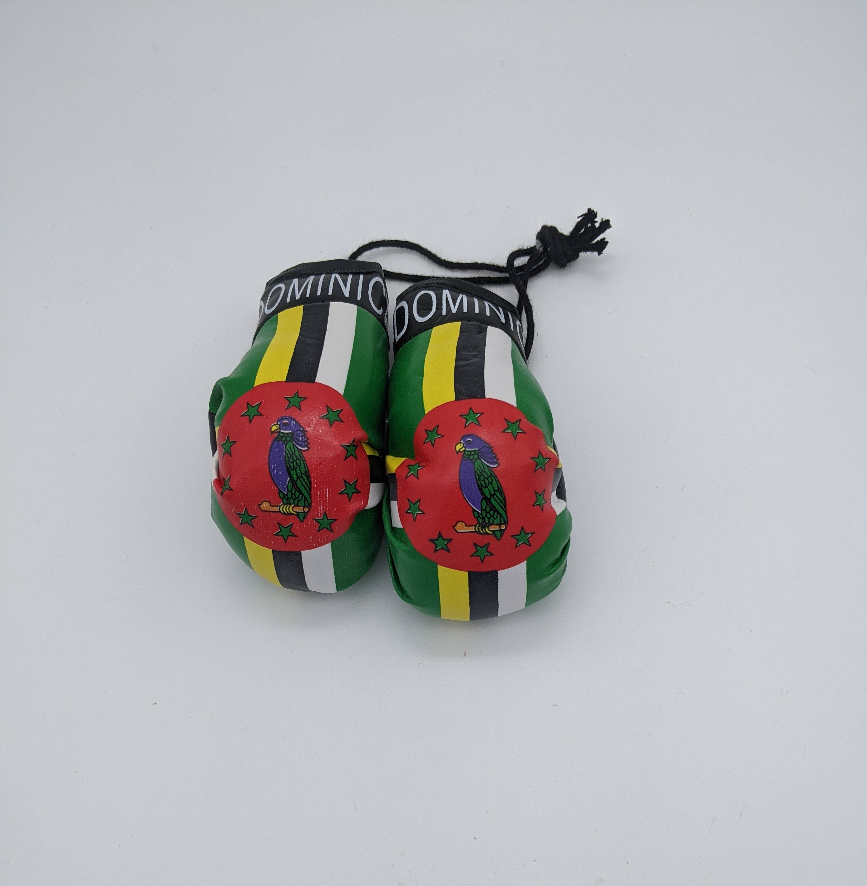 Flag Matrix Inc - Wholesale Sporting Accessories - International Boxing Gloves23