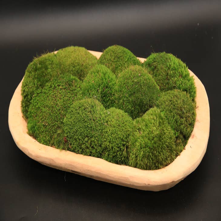 Wooden Moss Balls Natural Wood Orb Natural Decor Moss Decor Preserved  Greenery Nature Lover Gift for Her Accent Decor 