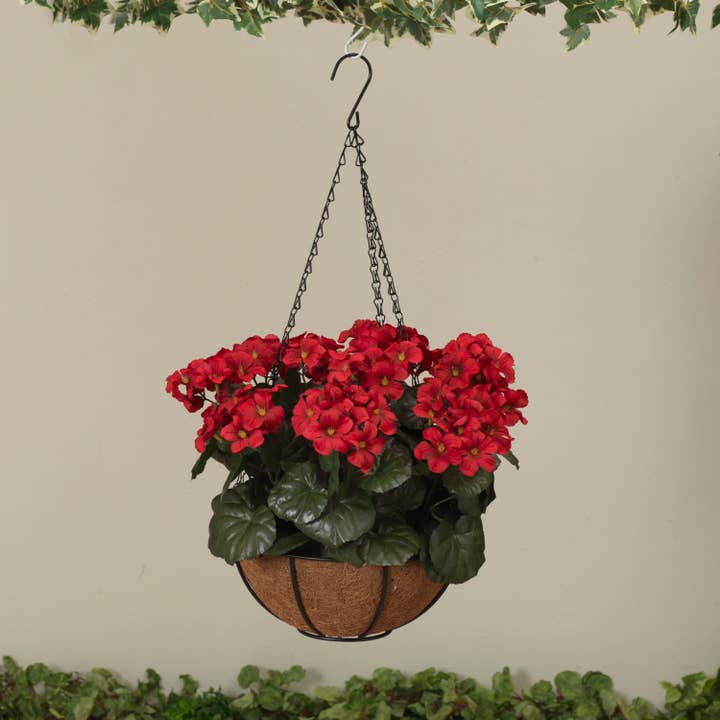 The Gerson Companies - Wholesale Hanging Planter - Discount 16"D Geranium Hanging Basket