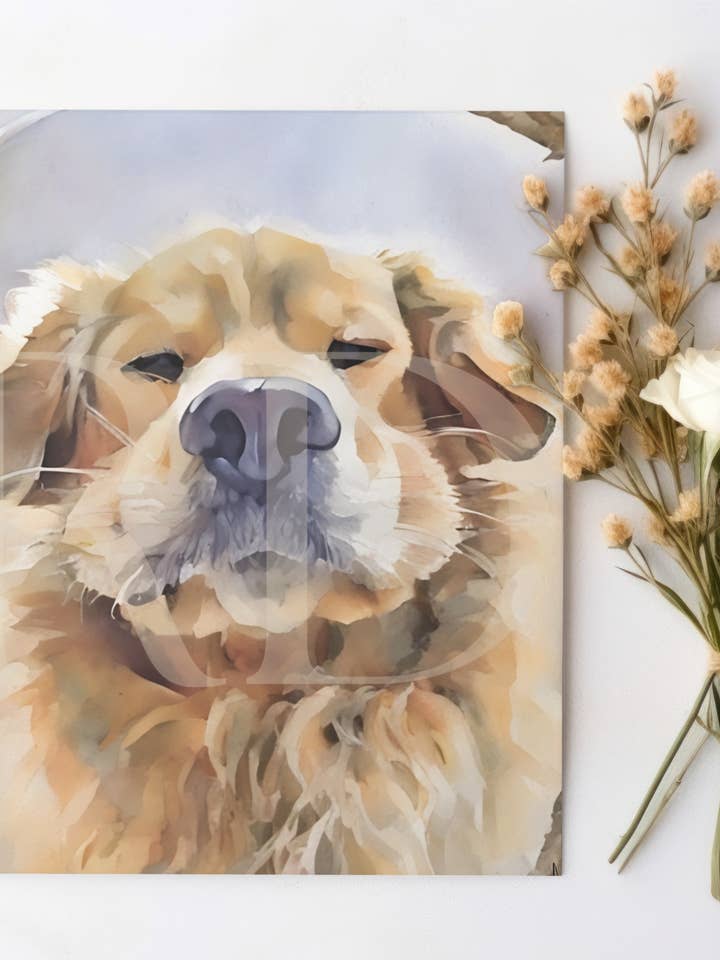 Cartão de boop no focinho por atacado de Ramsaydigitals