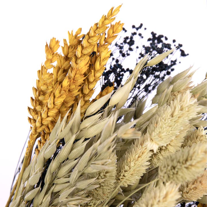 Willow Group - Wholesale Dried/Pressed Flowers - Alba Smart Bouquet 50cm3