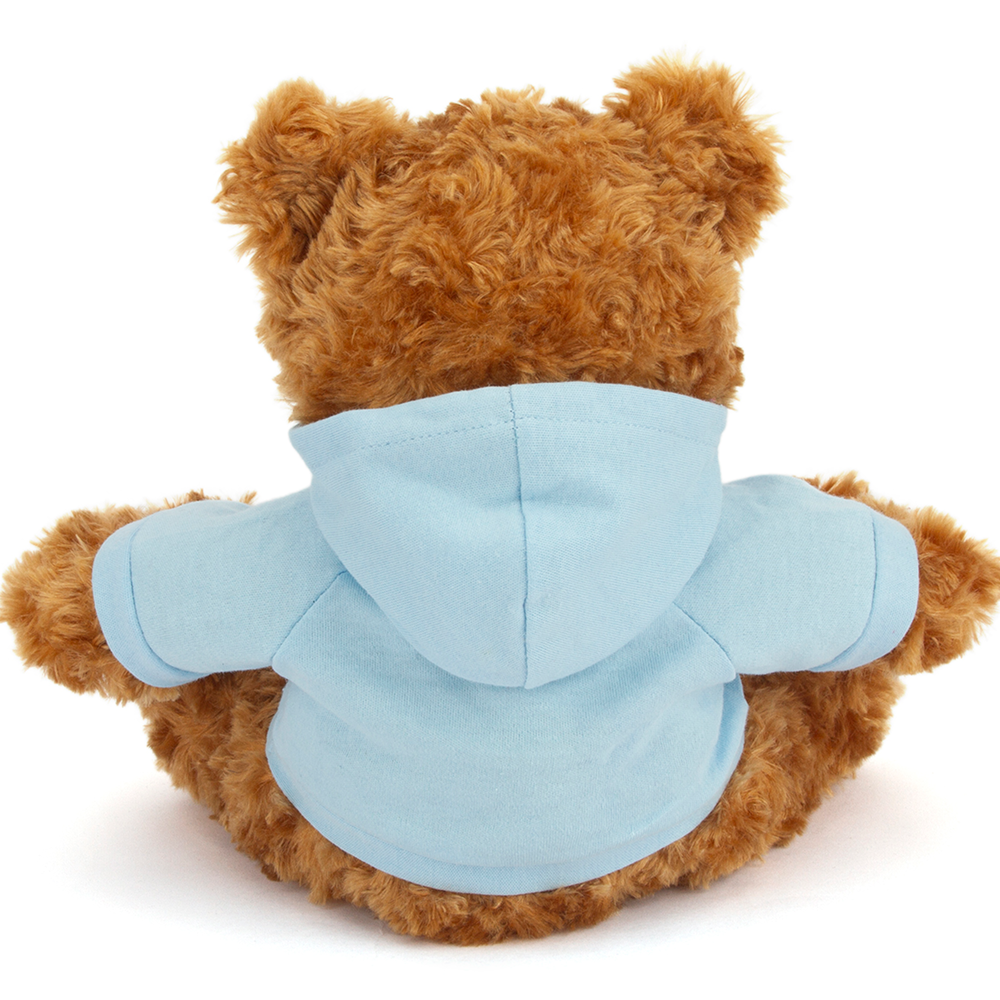 Plushland – wholesale Stuffed/plush toy – Kids & baby – 11" Personalized Teddy Bear in Hoodie | Custom Sitting Bear19