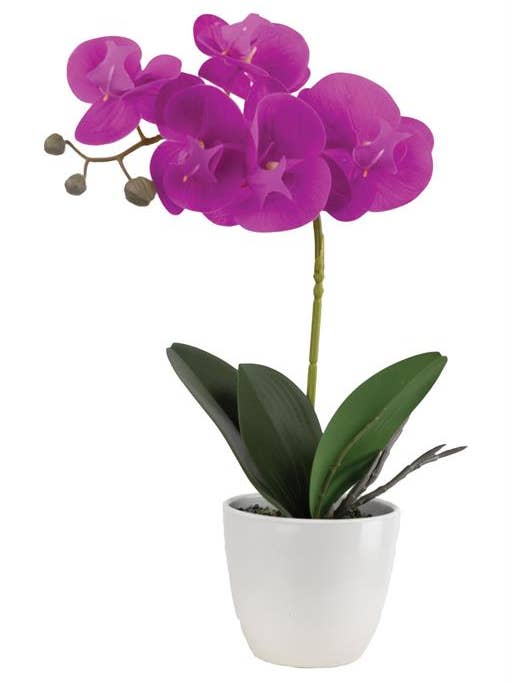 Phalaenopsis Orchid in Pot 5.91"X16.14" Orchid for wholesale by Select Artificials, Inc.