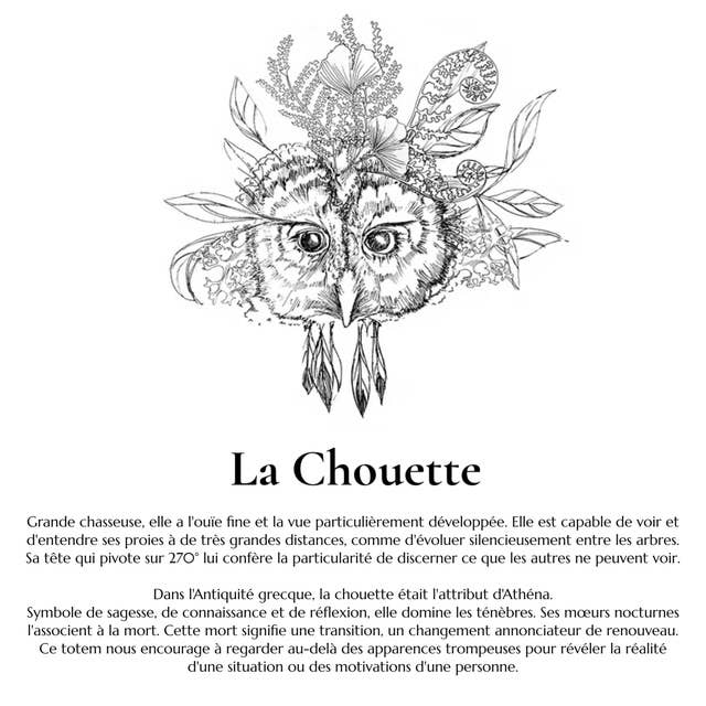 Totem nature - Vente Bâton de sauge - Bâton de Fumigation Bio - Bouquet TOTEM de la Chouette3