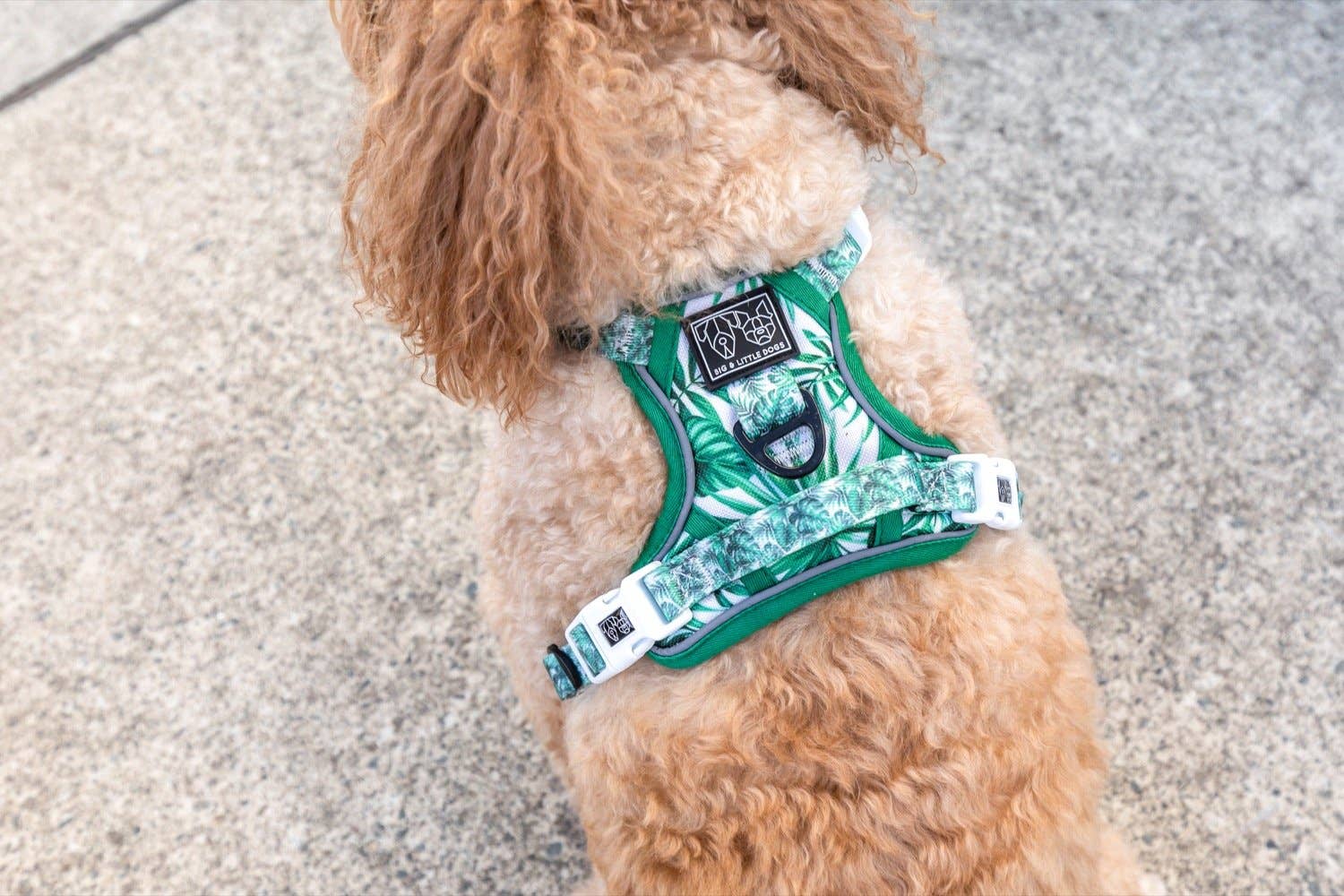 Big and Little Dogs – Engroshandel Kæledyrssele – Hund – Multifunktionelt hundesele: Lost In Paradise fra Big and Little Dogs2