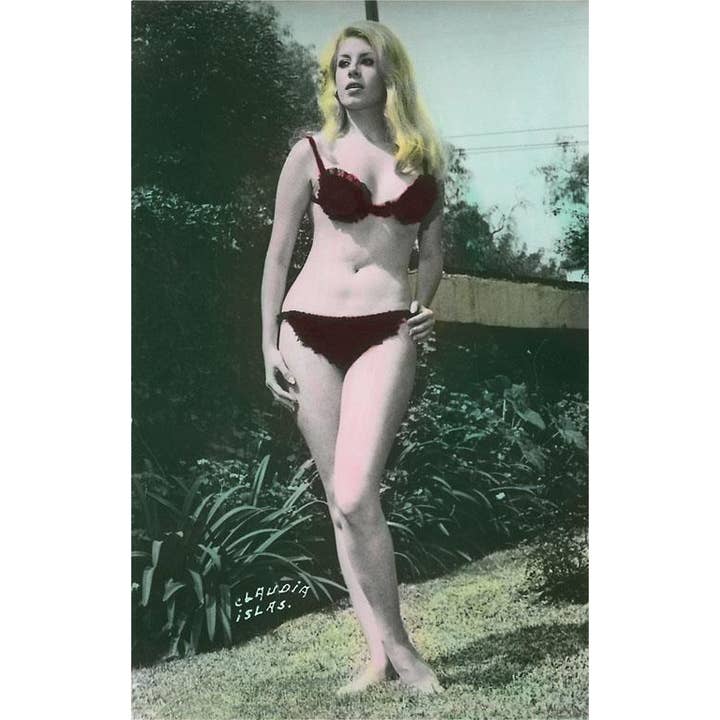 Magnet MX-406 Pin-Up de l'actrice mexicaine pour la vente par Found Image Press