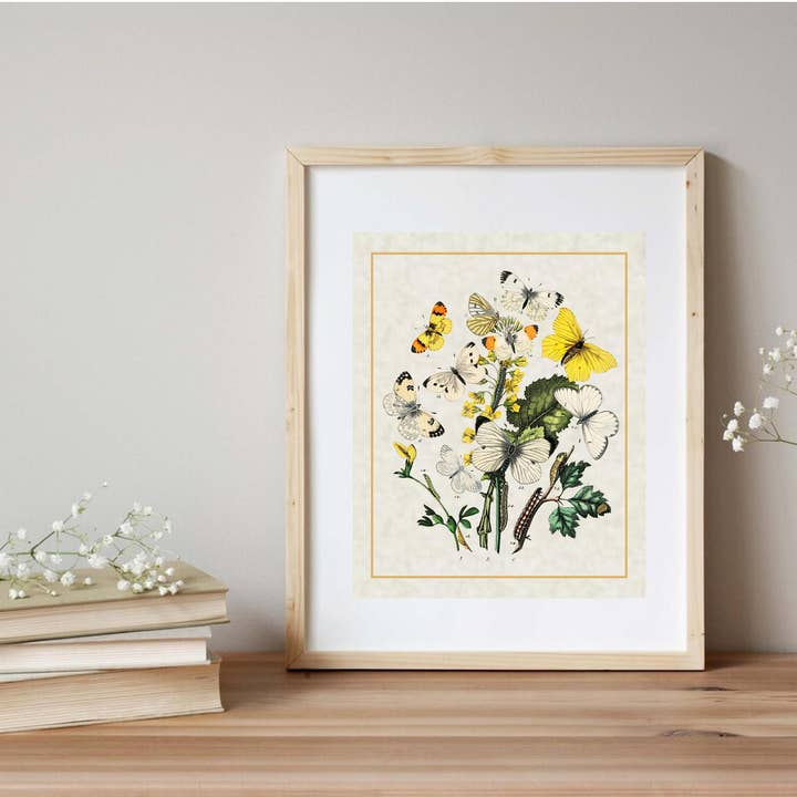 Magnifique Hearts - Wholesale Art Print - Art Prints, Butterflies Vintage Styled Prints, High Quality, Entomological Art, Wall Art, Gift Idea, Home Décor, Rustic Farmhouse, Artistic3