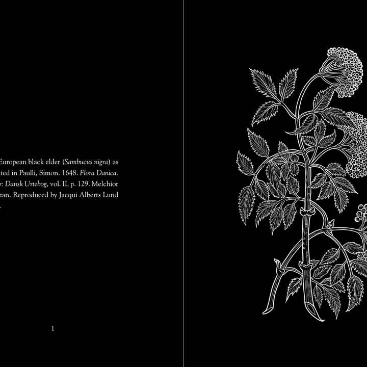 Hyldyr - Wholesale Nature & Outdoors - Lady Elder Tree: Northern Animism and Witchcraft3