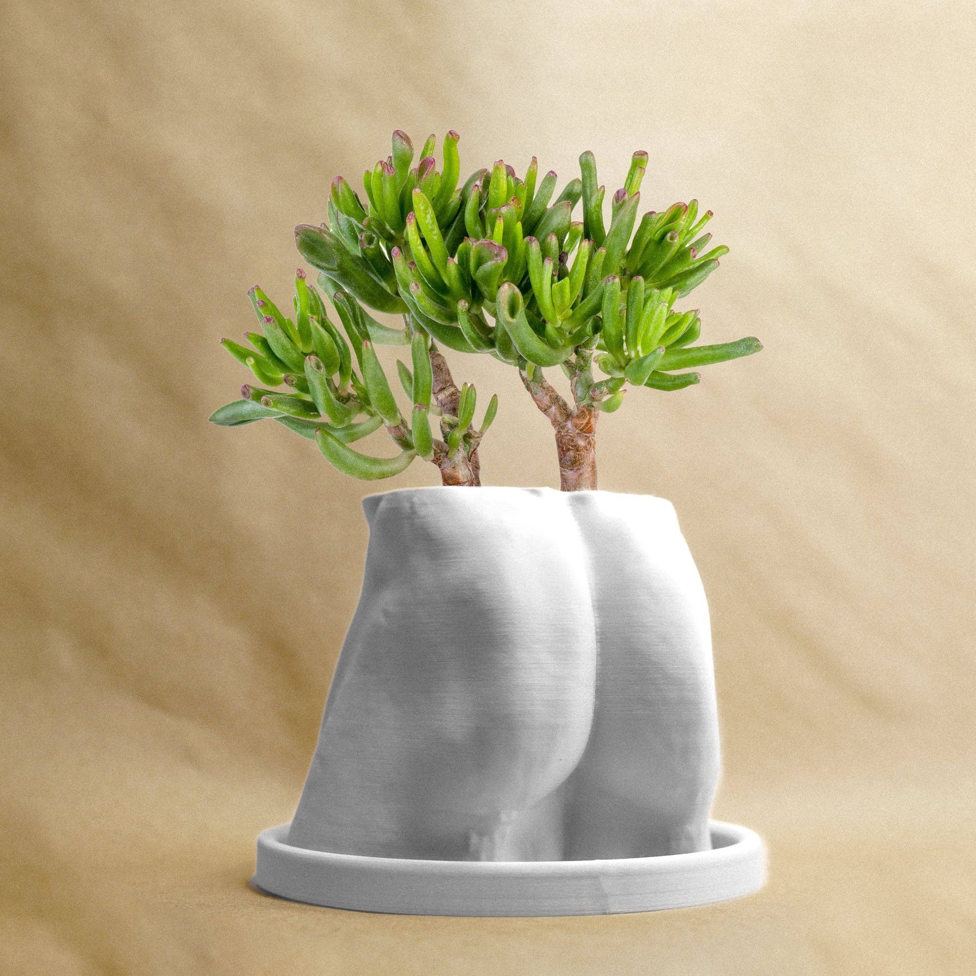 Rosebud Homegoods - Wholesale Plantenpot - Bloempot 'Spierbil' met realistische vormen2