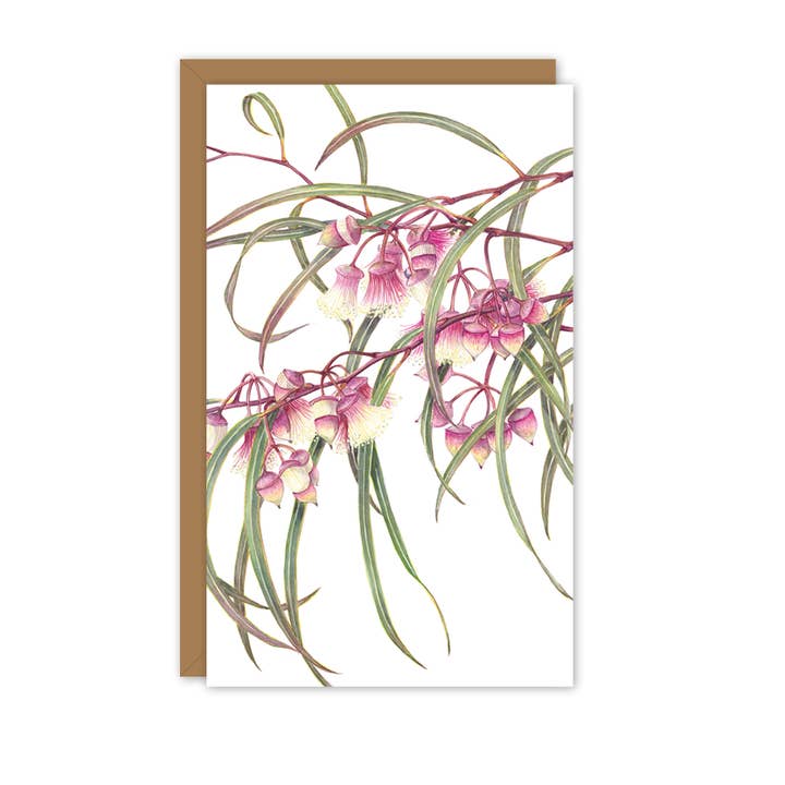 STUDIO NIKULINSKY - Wholesale Everyday greeting card - Small Card: Eucalyptus synandra