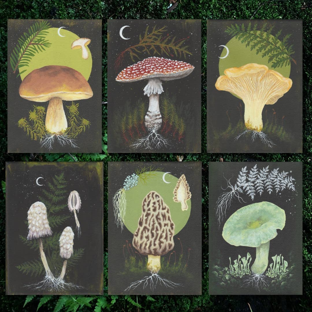 Up Moss Creek Studio - Wholesale Postcard Set - Dark Mycology Postcard Set (6)2