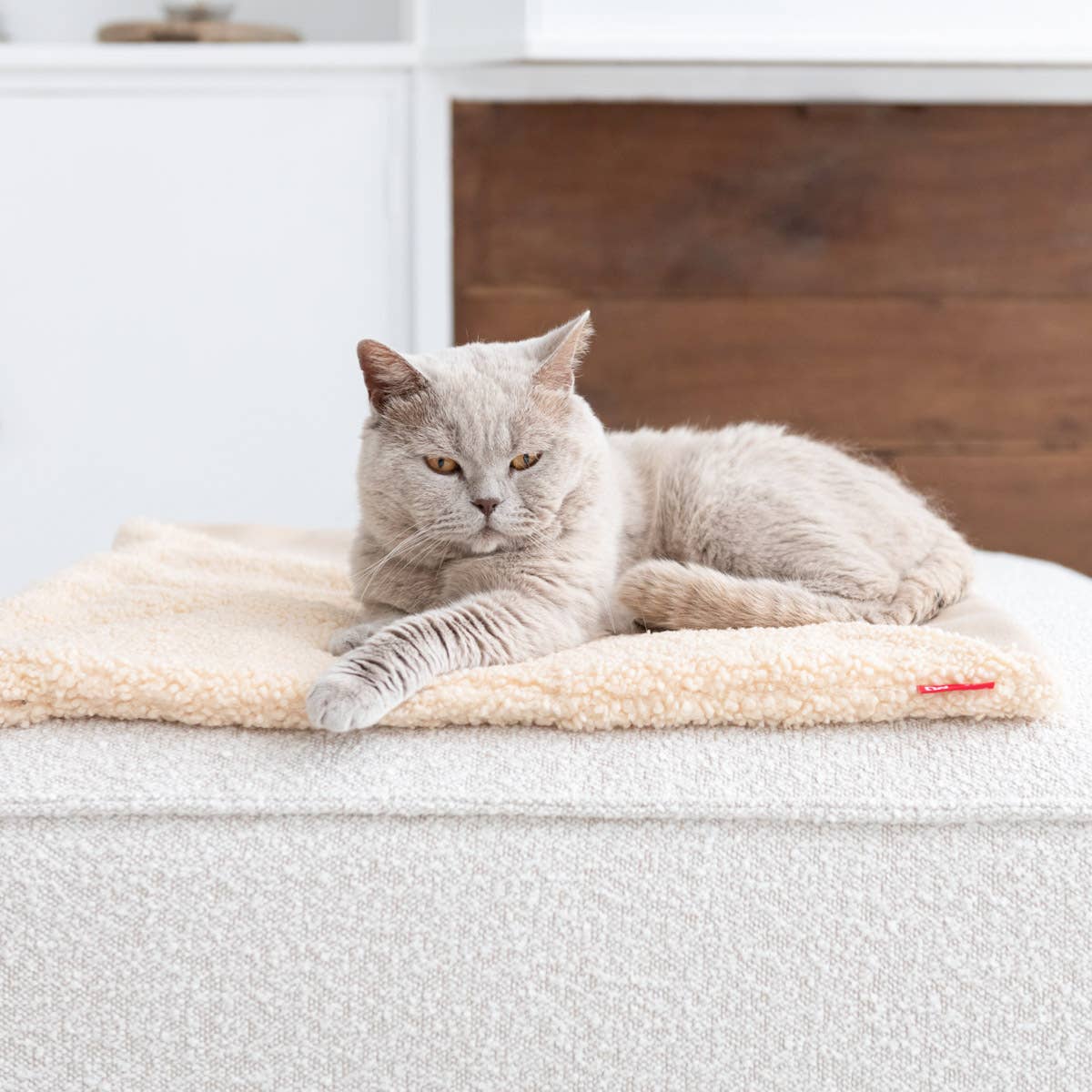 Hoopo - Vendita all'ingrosso Coperta - Gatti - Coperta Tri per gatti3