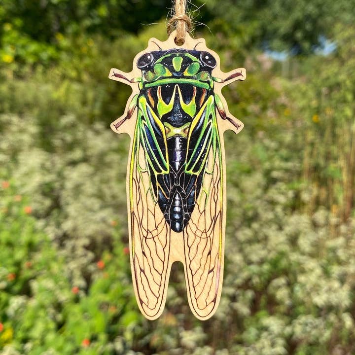 Linne's Cicada Wood Print Christmas Ornament for wholesale by Allison Stoiser Art