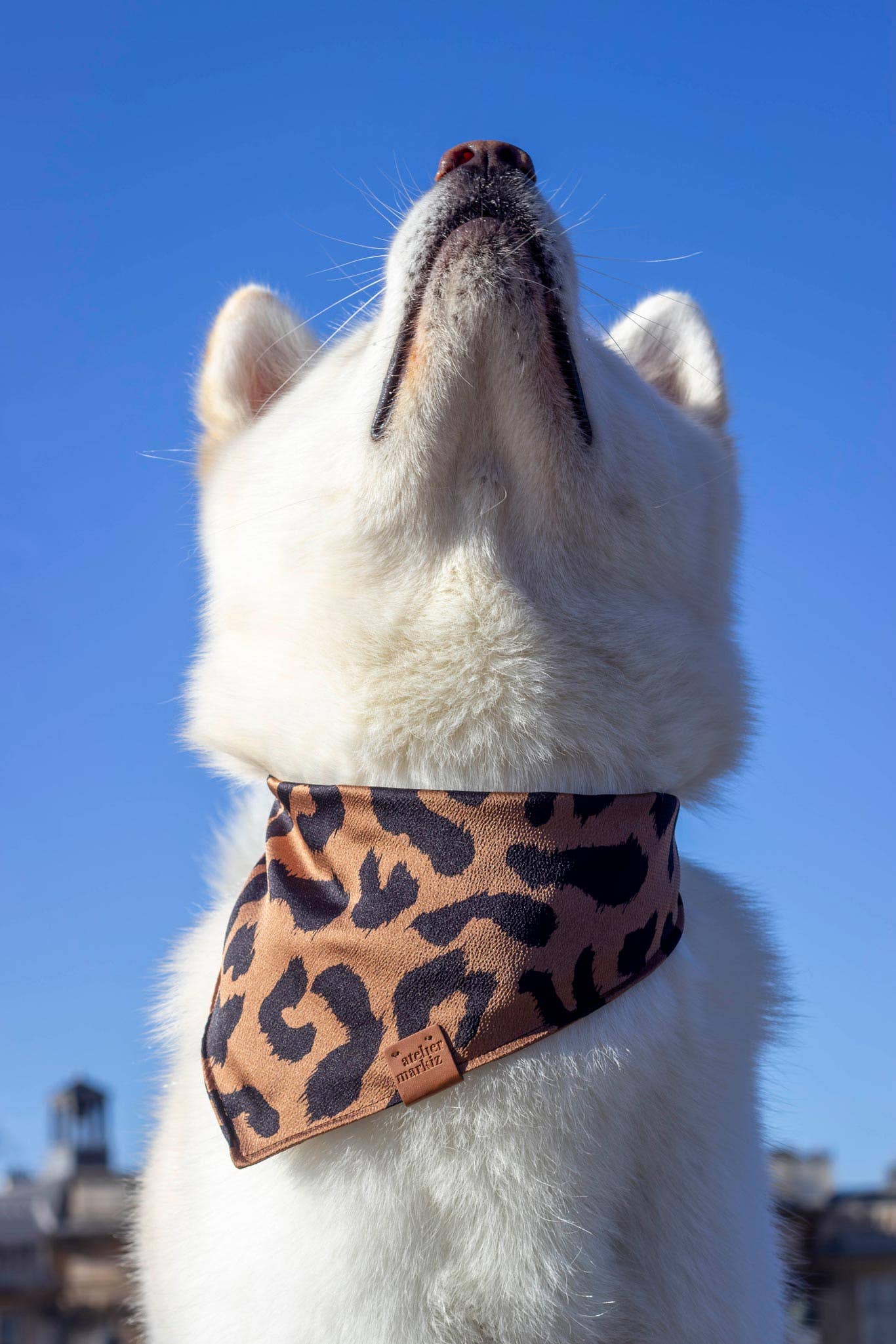 Atelier Markiz - Wholesale Pet Bandana - Dog - Bandana Wild4